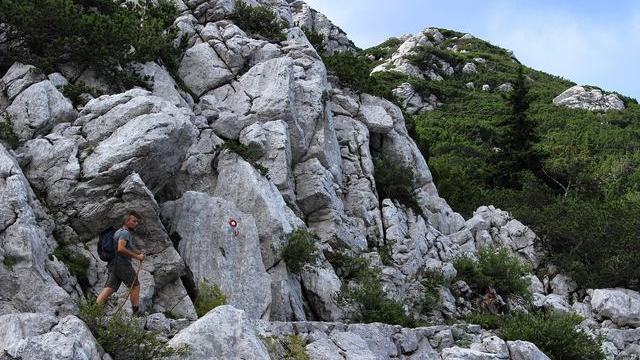 男星通告表被翻出「空窗两日」，工作室说在对词，行程APP对不上